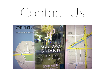 Gustavo Briand Salon contact