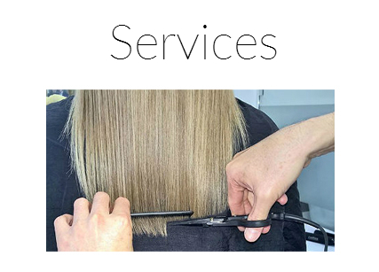 Gustavo Briand Services